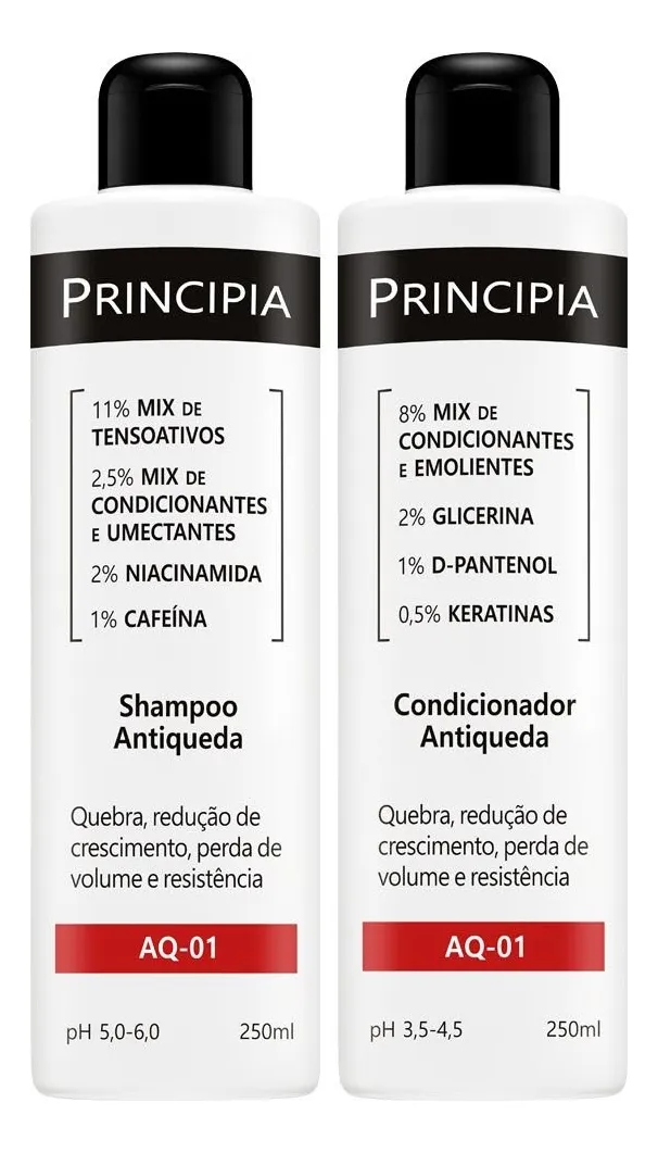 Shampoo Antiqueda Principia AN 1